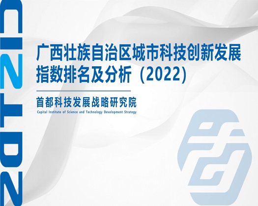 日逼236免费【成果发布】广西壮族自治区城市科技创新发展指数排名及分析（2022）